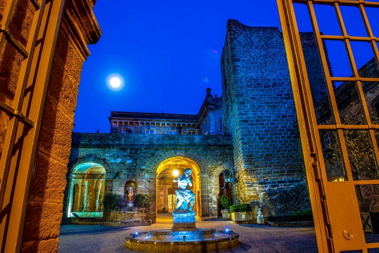 Chateau De Rochegude Экстерьер фото